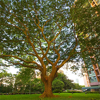 Business Commerical 2